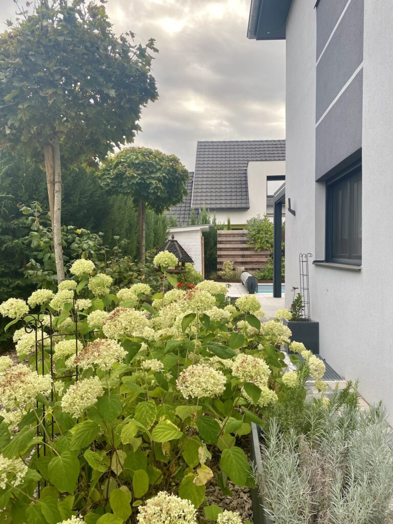 Le jardin